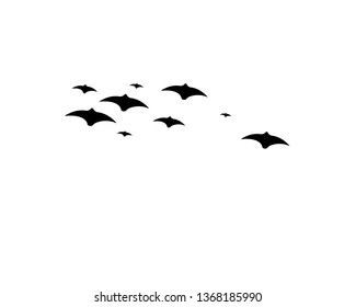 flying bats. Halloween composition. - Vector
