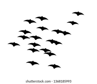 flying bats. Halloween composition. - Vector
