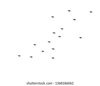 flying bats. Halloween composition. - Vector
