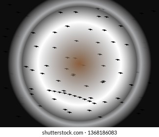 flying bats. Halloween composition. - Vector
