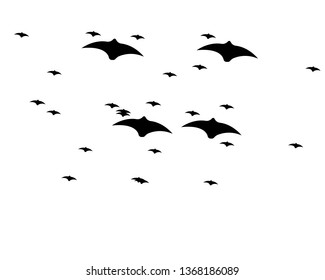 flying bats. Halloween composition. - Vector
