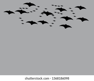 flying bats. Halloween composition. - Vector

