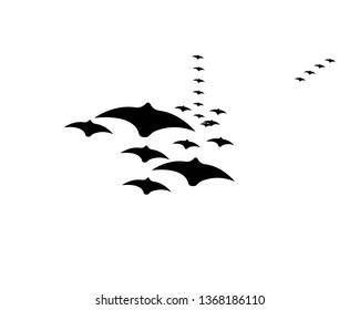 flying bats. Halloween composition. - Vector
