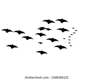 flying bats. Halloween composition. - Vector

