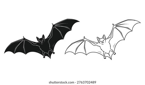 Flying Bats Illustration Chiroptera Winged Creatures Vector