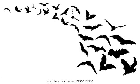 Flying Bats in the Sky