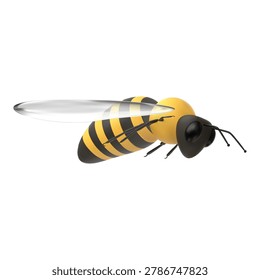 Flying bee 3D realistic vector illustration. Honey Bee black and yellow striped insect with spread wings. Apiary and entomology. Wasp isolated on white background
