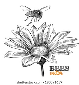 Flying bee and blossoming flower isolated vector illustration