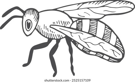 Flying bee hand drawn icon. Insect sketch