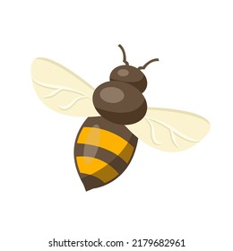 Flying Bee isolated on white background vector illustration. Cute cartoon character. Flat style