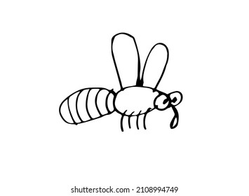 Flying bee. Outline sketch. Funny comical insect. Hand drawing is isolated on a white background. Vector
