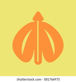 flying beetle
