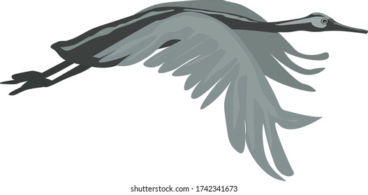 flying big bird.isolated on a white background.vector.