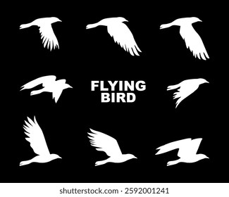 Flying bird animation. Shillouette. Wing