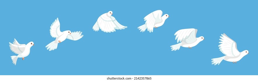 Flying Bird Animation. White Pigeon Flapping Wings Sequence, Stop Motion Storyboard, Peaceful Dove Flight Stages, Cycle Loop, City Fauna, Hope And Love Sign, Vector Isolated Concept