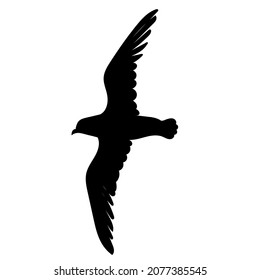 flying bird black silhouette on white background, vector