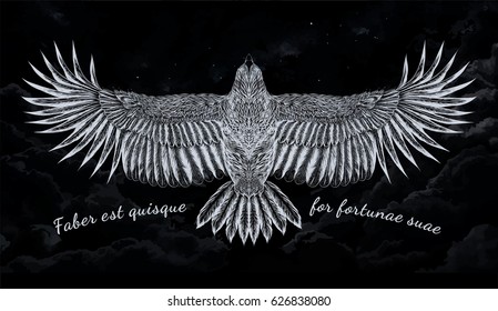 Flying bird. Black and white illustration.