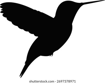 Flying Bird Vector blanco y negro