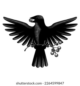 A flying bird with a bunch of mountain ash and grapes in its paws and beak. Vintage engraving stylized drawing. Vector illustration