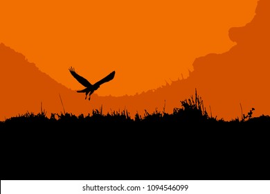 Flying bird. Color background. Vector image. Sunset colors background.