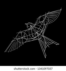 Flying bird continuous line drawing element isolated on black background for logo or decorative element. Vector illustration. Hand draw