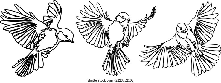 Flying bird continuous line drawing element isolated on white background for decorative element. Vector illustration of animal form in trendy outline style.