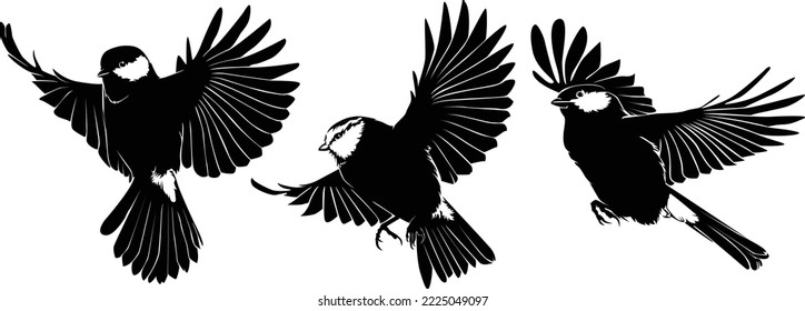 Flying bird continuous line drawing element isolated on white background for decorative element. Vector illustration of animal form in trendy outline style.