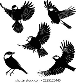  Flying bird continuous line drawing element isolated on white background for decorative element. Vector illustration of animal form in trendy outline style.