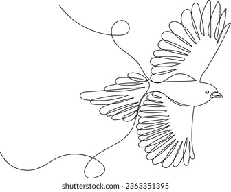 flying bird continuous line drawing on white background, vector