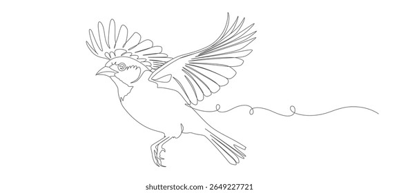 flying bird continuous line vector design