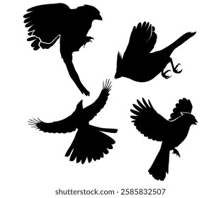 Flying bird different poses silhouette illustration