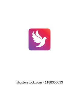 Flying bird dove logo. Vector illustration in color style.