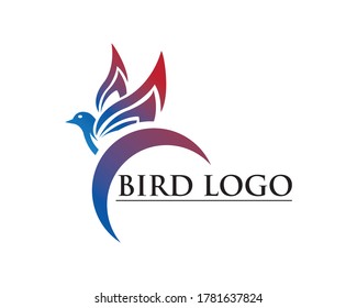 flying bird dove logo vector