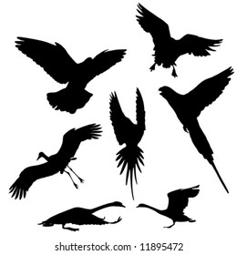 flying bird  (dove,goose,stork ,parrot and swan) vector silhouettes collection