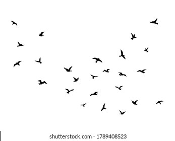 Flying bird. Flock of birds black silhouettes, abstract flight migration animal wildlife, creative drawing simple seagull shapes decorative element vector isolated illustration - Shutterstock ID 1789408523