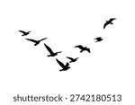 Flying Bird Flock Silhouette Vector Illustration Isolated on White Background