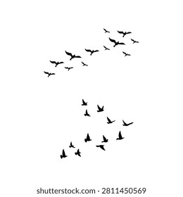 Flying bird flock silhouette. Wild bird migratory group vector graphics, sky freedom wing symbols. Animal flight path elements.