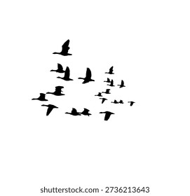 Flying bird flock vector silhouette with modern minimalist style, perfect for print, web, and branding usage.