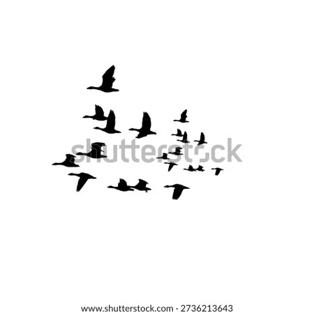 Flying bird flock vector silhouette with modern minimalist style, perfect for print, web, and branding usage.