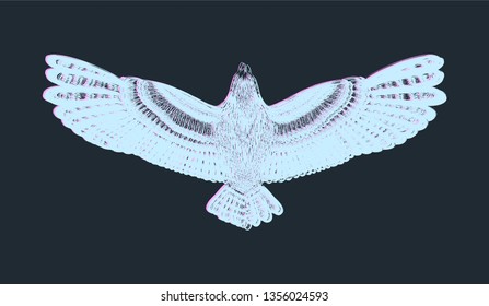 Flying bird with glitch effect on the black background. Printed tee and embroidery. Detailed drawing owl. To be use for print t shirt and tattoo art.