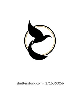 Flying bird graphic logo design concept template,  isolated on white background.
