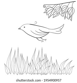Flying bird, grass and twig on a white background. Page of coloring books for children