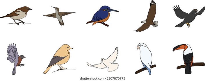 Flying Bird Illustration Animal Design