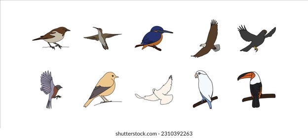 Flying Bird Illustration Vector Set