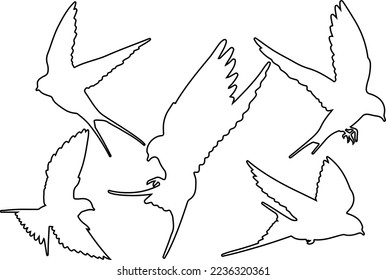 Flying bird line art vector for websites, graphics related artwork