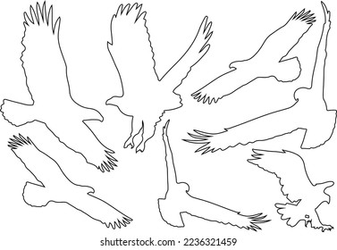 Flying bird line art vector for websites, graphics related artwork