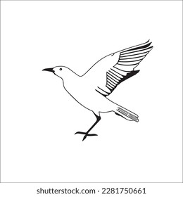 A flying bird line art vector.