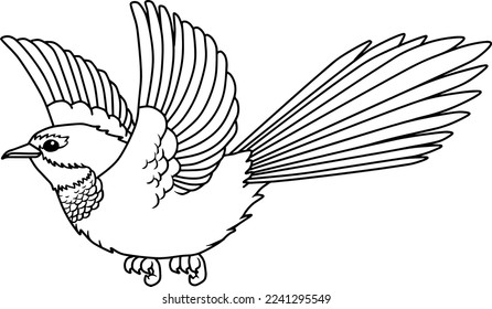 ilustración del vector de la línea de ave volante aislada en fondo blanco
