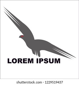 flying bird logo