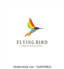 Flying Bird Logo abstract colorful design vector template . Humming Bird Logo . Colibri Logo